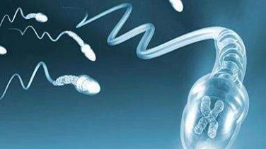 促排卵什么时候去医院较好 使用促排卵对身体有害吗