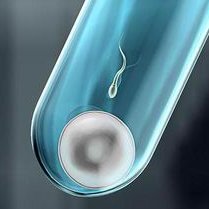 第三代试管婴儿武汉哪里能做？