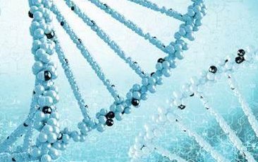 亲身体验：北京做三代试管婴儿技术，真的好么？