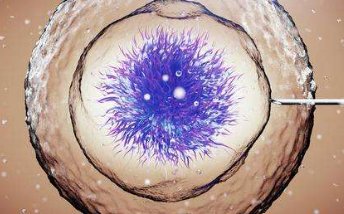 宿迁三代试管基因检测项目是什么？检测时间与注意事项一览！